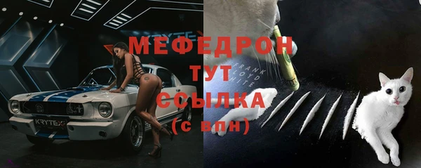 индика Белокуриха