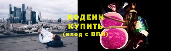 индика Белокуриха