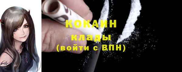 шишки Беломорск