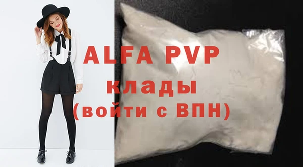 индика Белокуриха