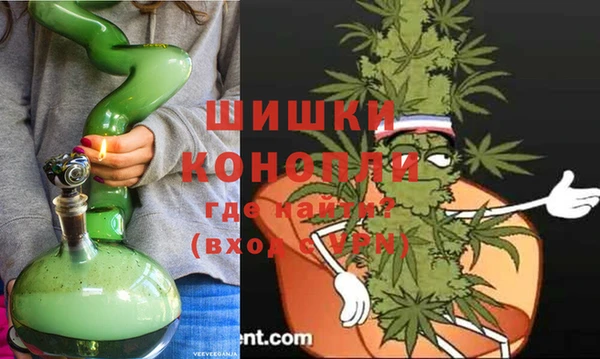 шишки Беломорск