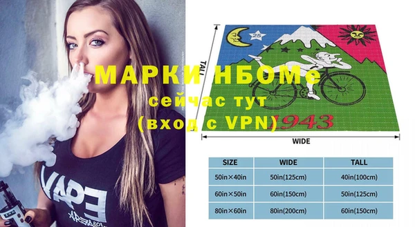 индика Белокуриха