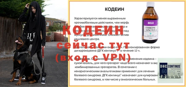 индика Белокуриха
