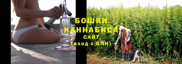 индика Белокуриха