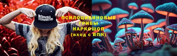 амф Балахна