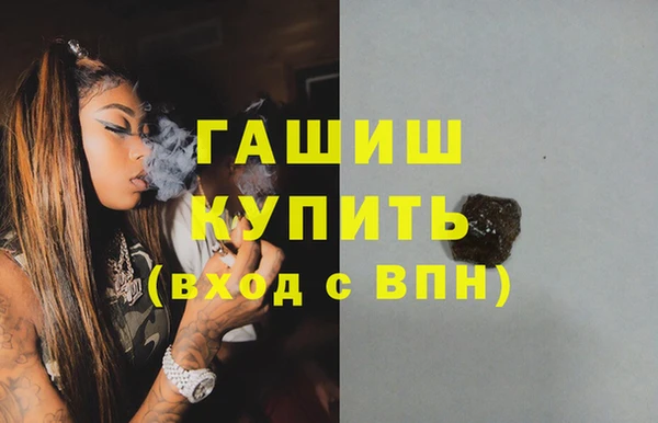 индика Белокуриха